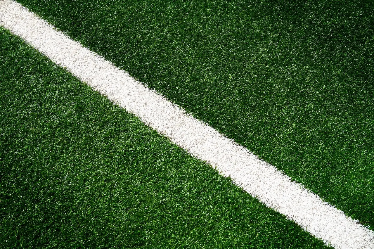 Fußball in Asien: Wachsende Begeisterung