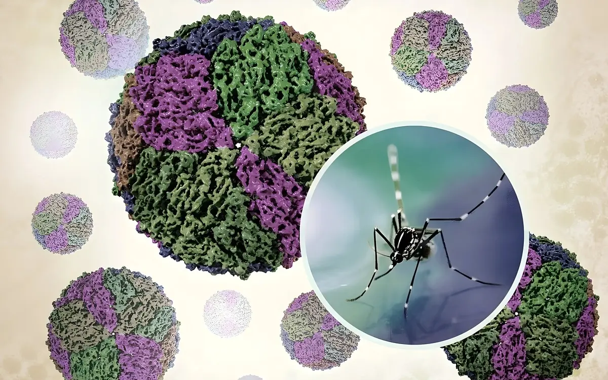 Dengue-Fieber in Thailand – Ein Erfahrungsbericht