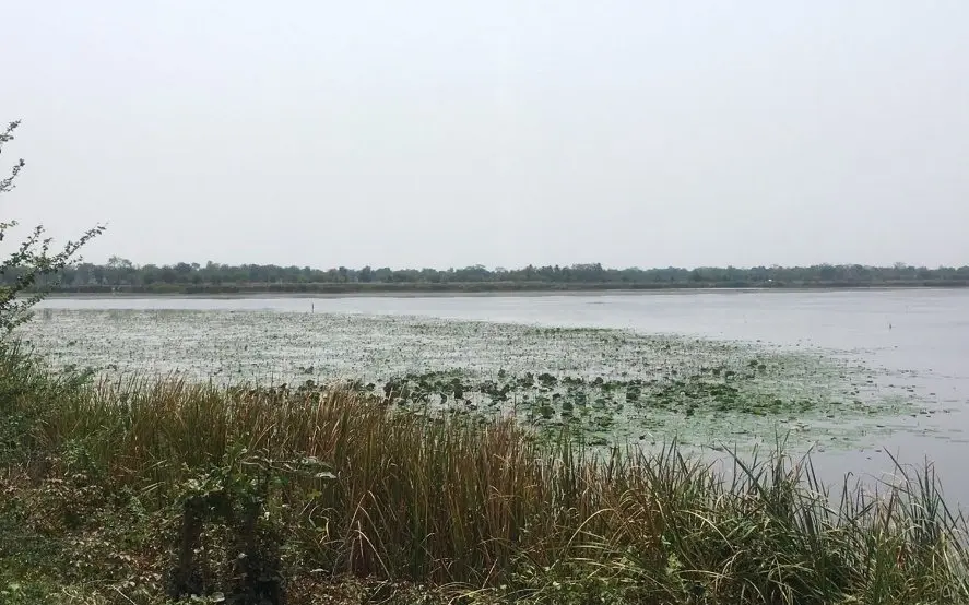Dringende Maßnahmen gegen frühzeitige Dürre in Thailand: Nakhon Ratchasima setzt auf innovative Wassersparstrategie