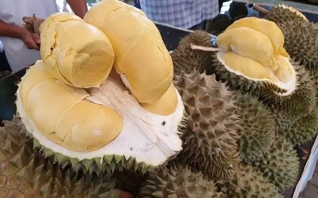 Durian und Alkohol – Eine tödliche Kombination?