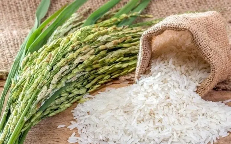 Eine gesunde Variante: Reisalternativen zum Ausprobieren in Thailand