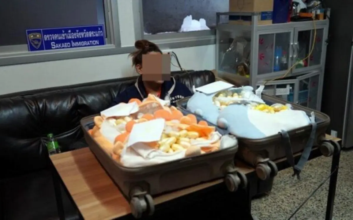 Frau mit Kokain im Wert von 16 Millionen Baht verhaftet – Ausländischer Ehemann wartet in Bangkok