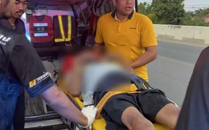 Hornissenschwarmangriff in Ang Thong, Thailand: 55-Jähriger kämpft um sein Leben nach extremen Vorfall