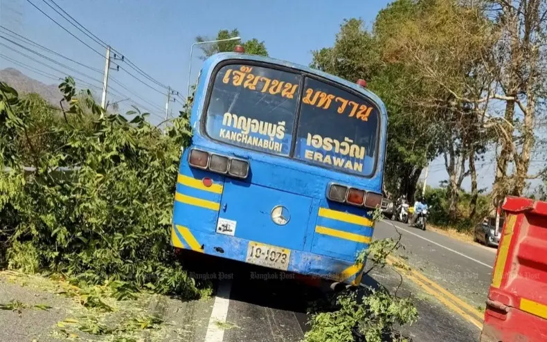 Illegale Fällung eines Baumes verletzt 9 Touristen: Polizei geht gegen Holzdiebe vor