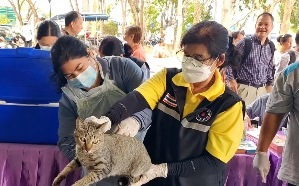 Kostenlose Sterilisation und Impfung für Haustiere in Pattaya: Ein Schritt zur Lösung des Streunerproblems