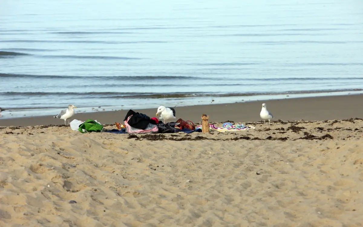 Obdachlose am Dongtan Beach: Alkohol und Elend schocken Touristen