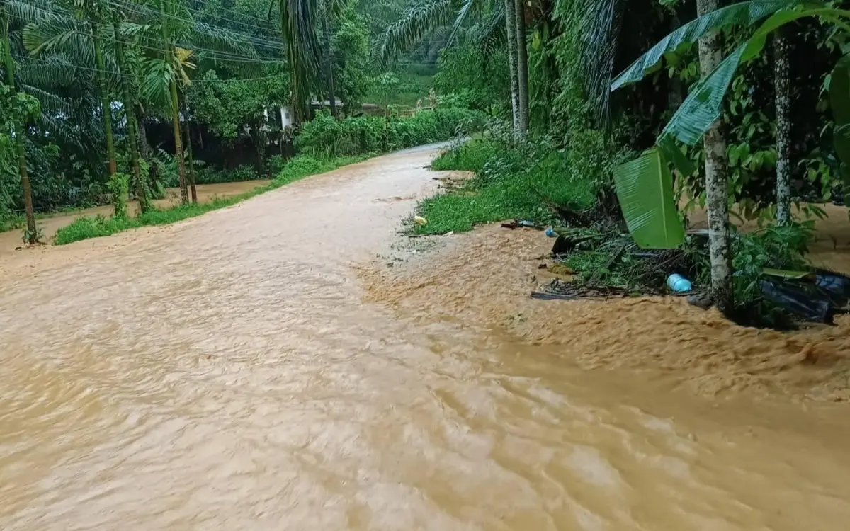Phang Nga „versinkt“ im Chaos!
