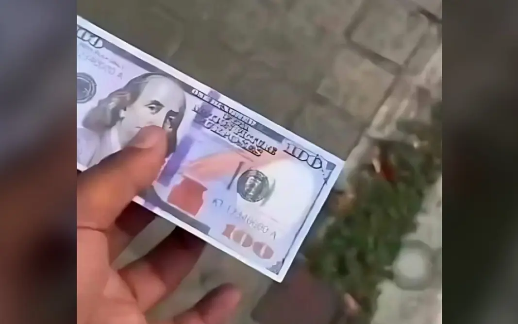 Phuket-Eklat: Tourist wirft Fake-Dollar aus Auto – Empörung über Respektlosigkeit (Video)