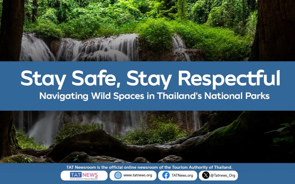 Sicherheitsrichtlinien für Begegnung mit wilden Elefanten in Thailands Wildnis