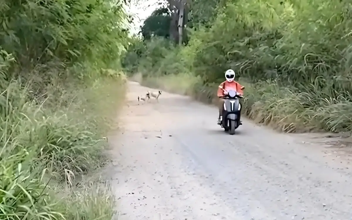 Thailändischer Grab-Fahrer wegen versuchter Vergewaltigung einer Universitätsstudentin festgenommen