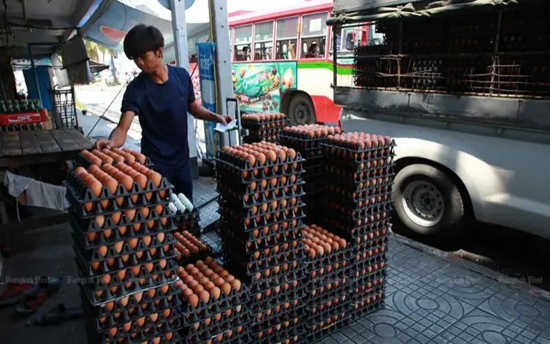 Thailands Eier-Krise: Bürger zahlen drauf – Wer ist schuld?