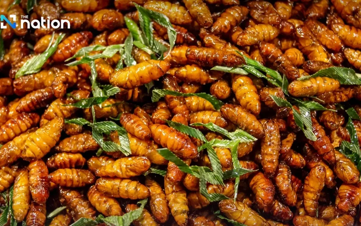 Thailands ekligste Snacks – lecker!