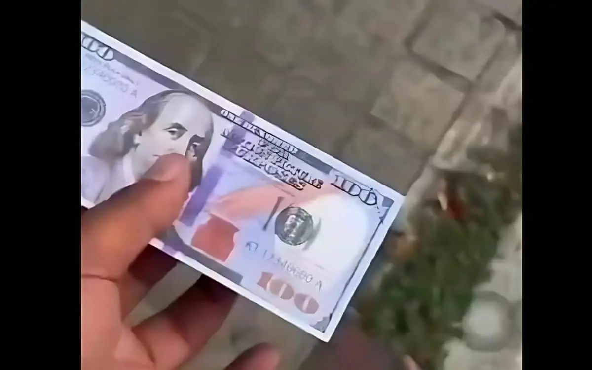 Tourist sorgt mit Falschgeld-Stunt für Empörung – Wut und Debatte über Visumpolitik (Video)