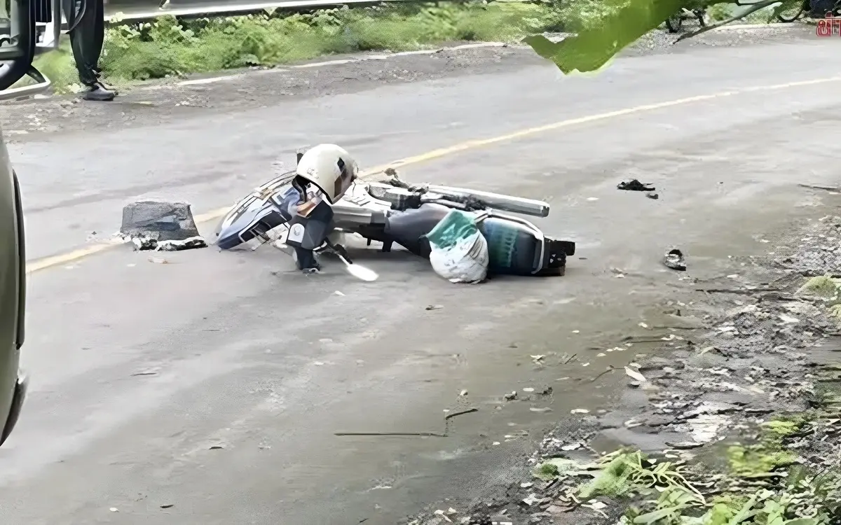 Tragischer Unfall: Wilder Elefantenangriff fordert Menschenleben in Kanchanaburi