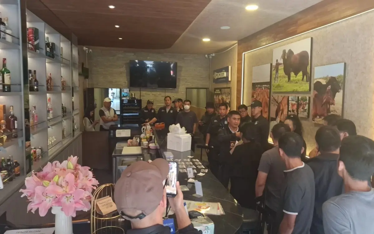 Unglaublicher Zwischenfall in Chiang Mai: Tod eines britischen Touristen durch Überdosis führt zu Polizeioperation gegen „Magic Mushroom“-Handel