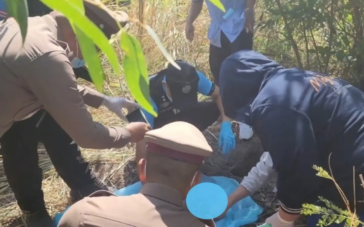 Verstörende Entdeckung: Babyleiche in Reisfeld mit Stoffkaninchen bei Si Sa Ket gefunden