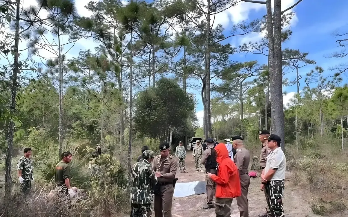 Wilder Elefant greift Touristen an – Eine Tote – Sicherheitsmaßnahmen ergriffen