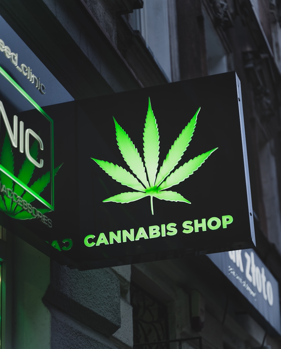 Juli wird heiß – Cannabis-Aktivisten stürmen Ministerium