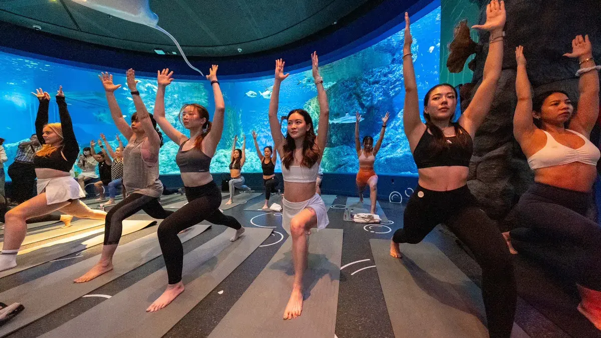 Im Flow mit Fischen: Thailands neue Yoga-Sensation