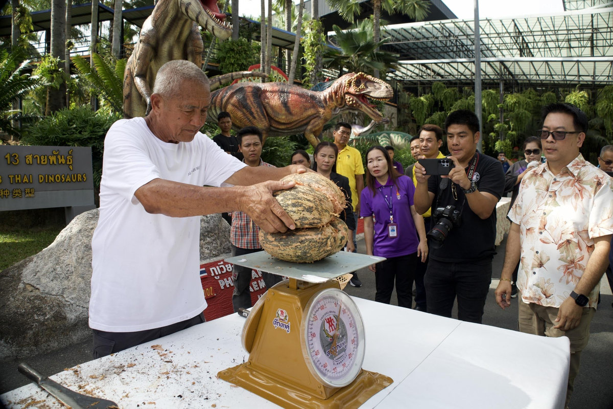 Coco de Mer in Pattaya: Der teuerste Samen der Welt?
