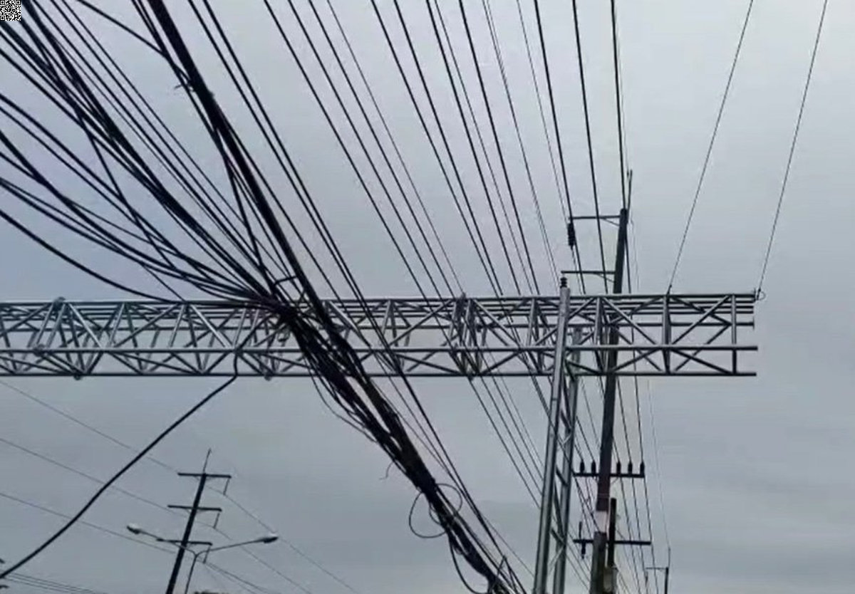 Krabi: 1,7 Millionen Baht für umstrittene Affenbrücke!