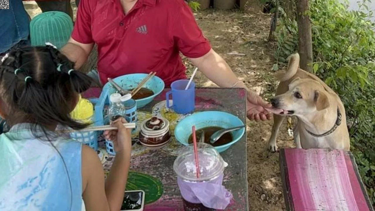 Hunde-Kassierer sorgt für Wirbel: Cocoa kassiert im Thai-Restaurant ab!