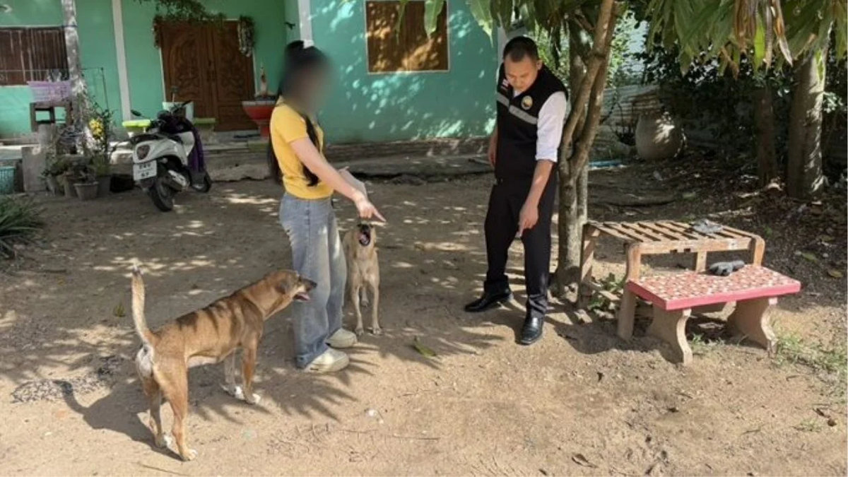 Junge von Hund gebissen – Mutter verzweifelt