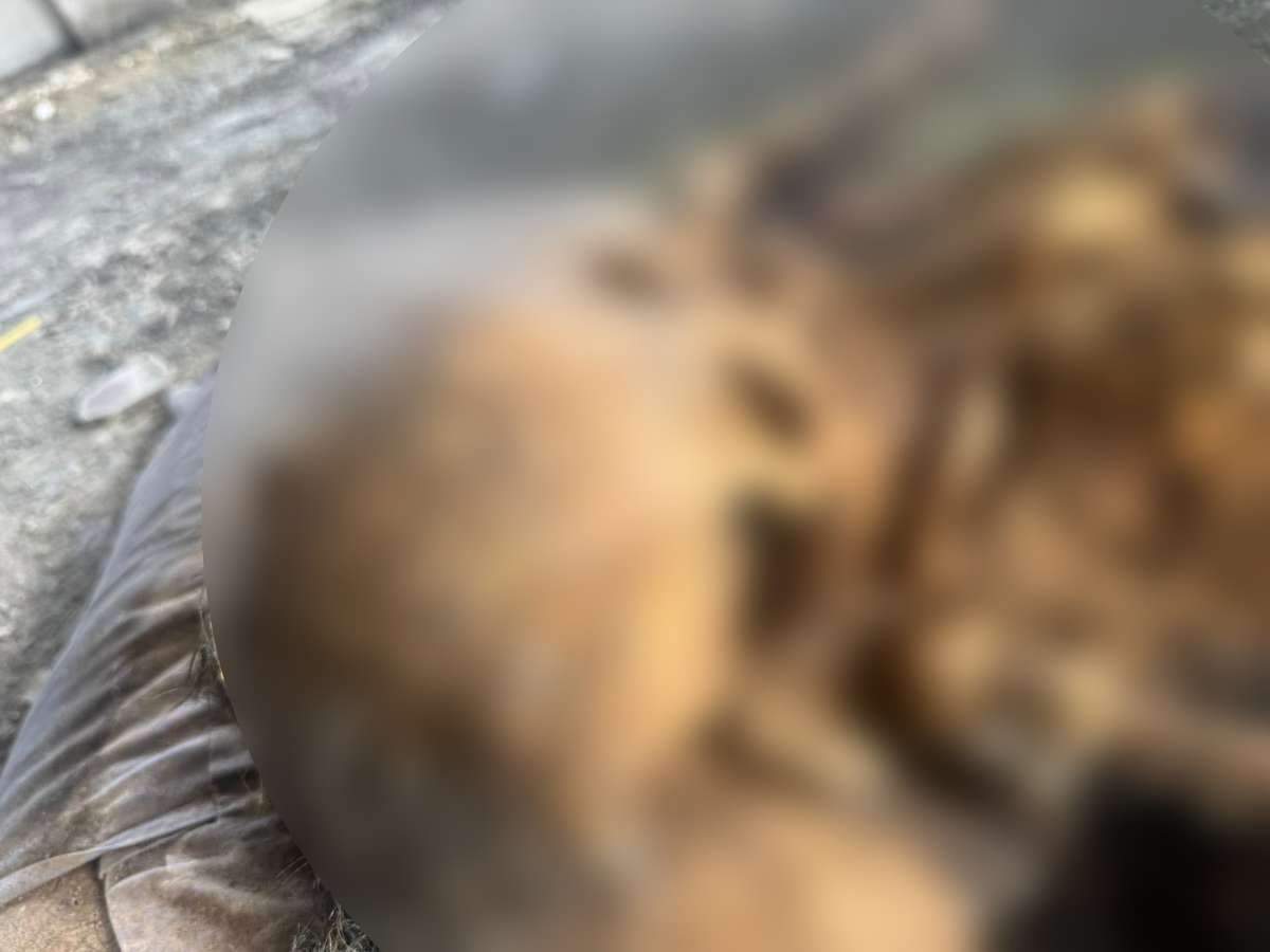 Handy zurück – Leichenfotos entdeckt