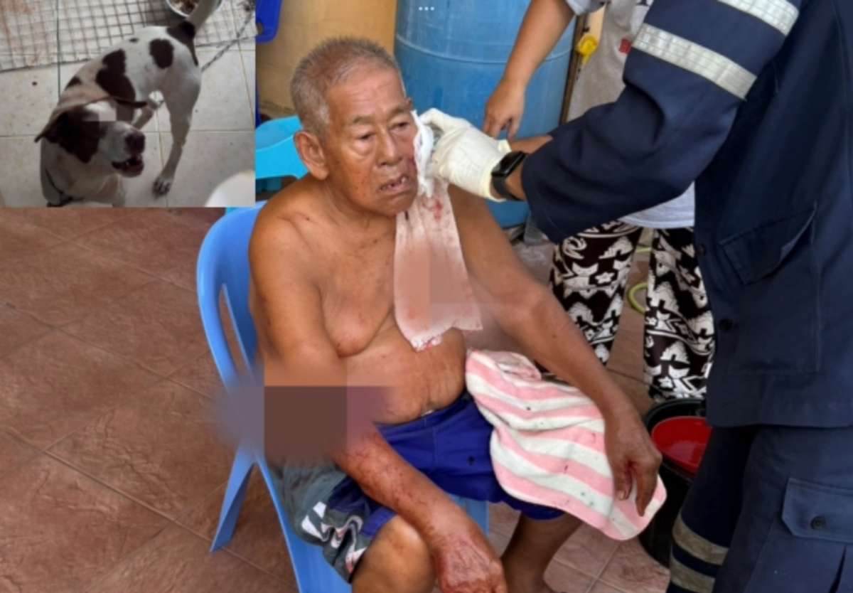 Nonthaburi: Hund attackiert 83-jährigen Besitzer