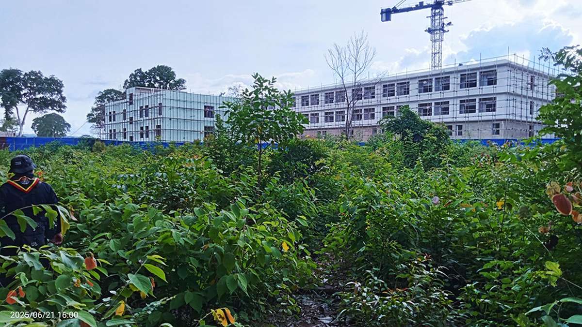 „Scam-Bosse ziehen an die Grenze!“ – Neue Gefahr in Surin