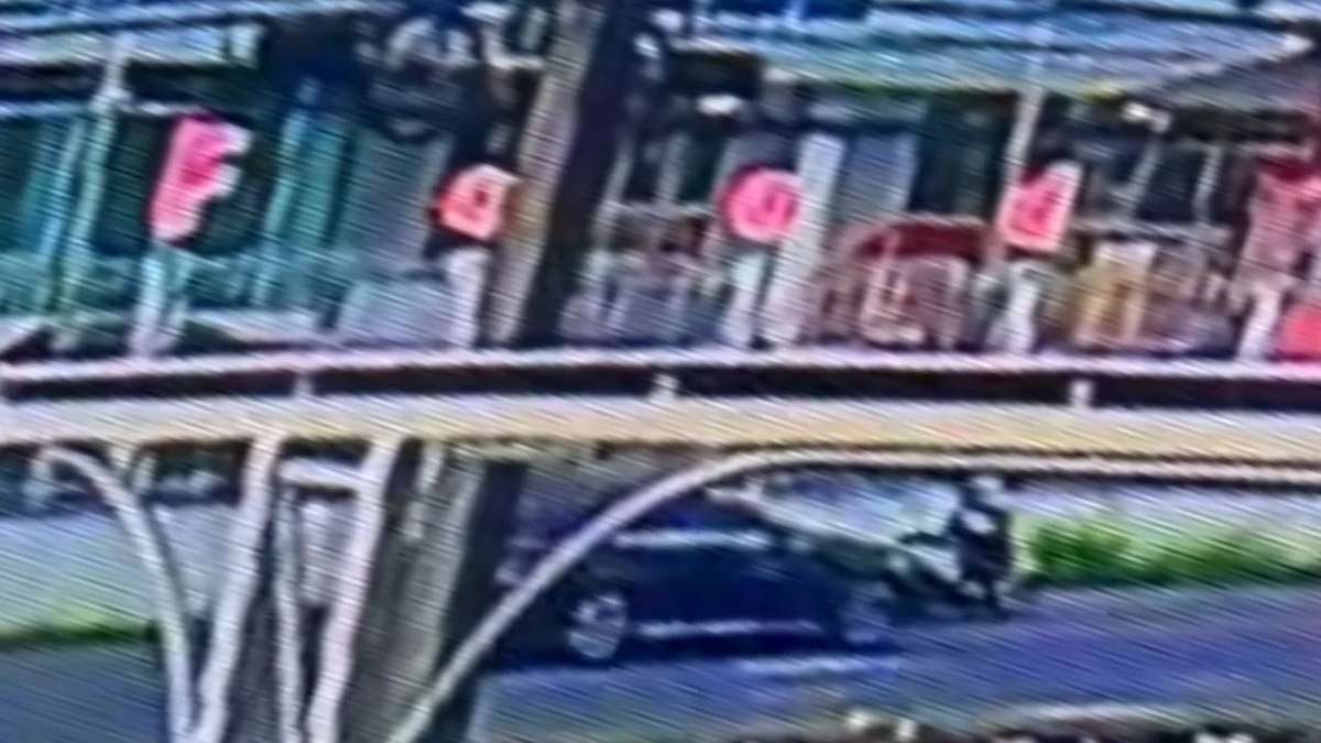 VIDEO: Unfall eines Russen ohne Versicherung