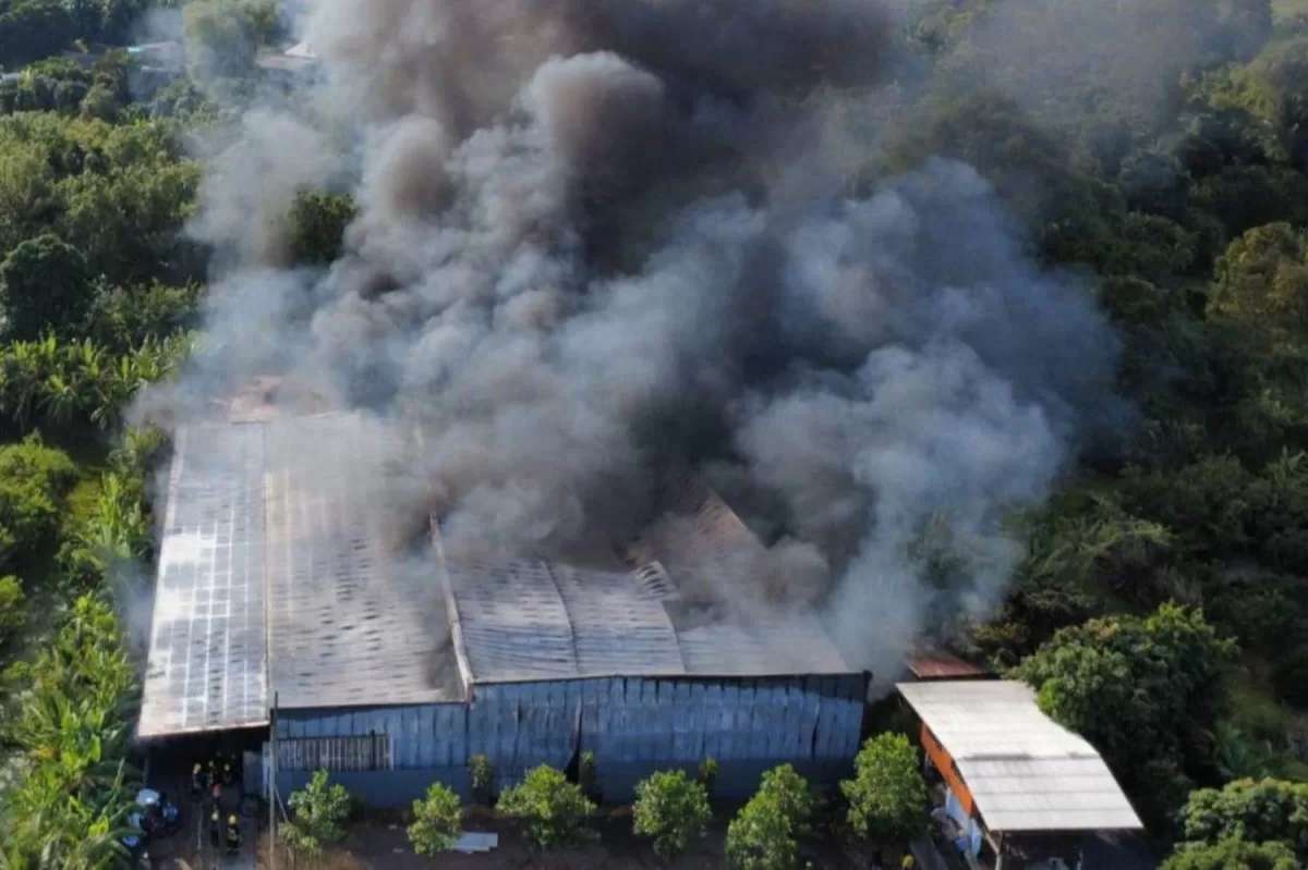 Inferno vernichtet 50 Luxuswagen – Millionenverlust