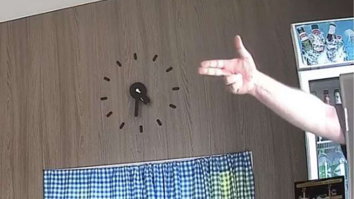 Tourist dreht durch – wegen Katze