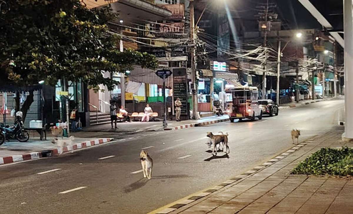 100.000 Streuner: Bangkok plant Mega-Eingriff