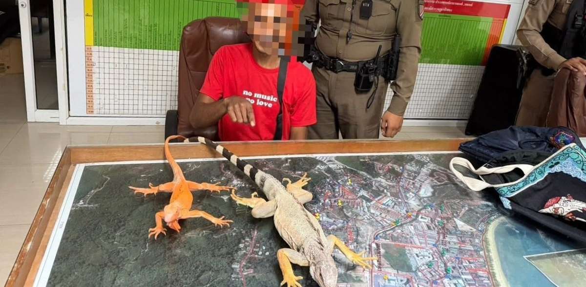 Touristen-Abzocke mit Tierfotos aufgedeckt