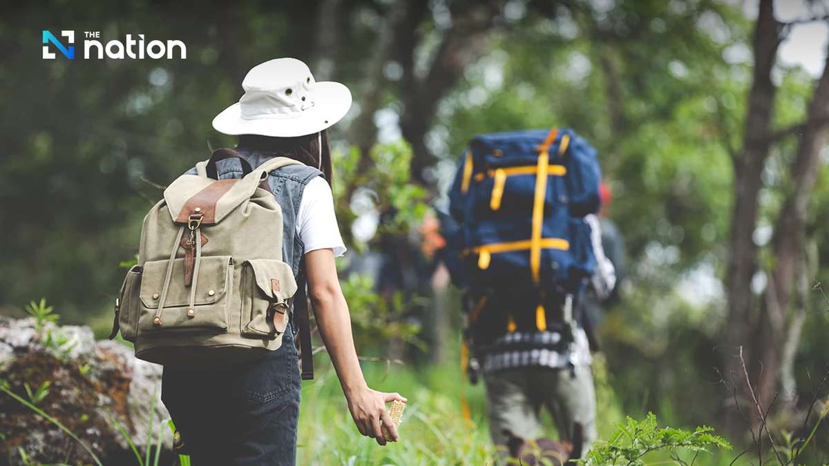 Wander-Boom im Norden