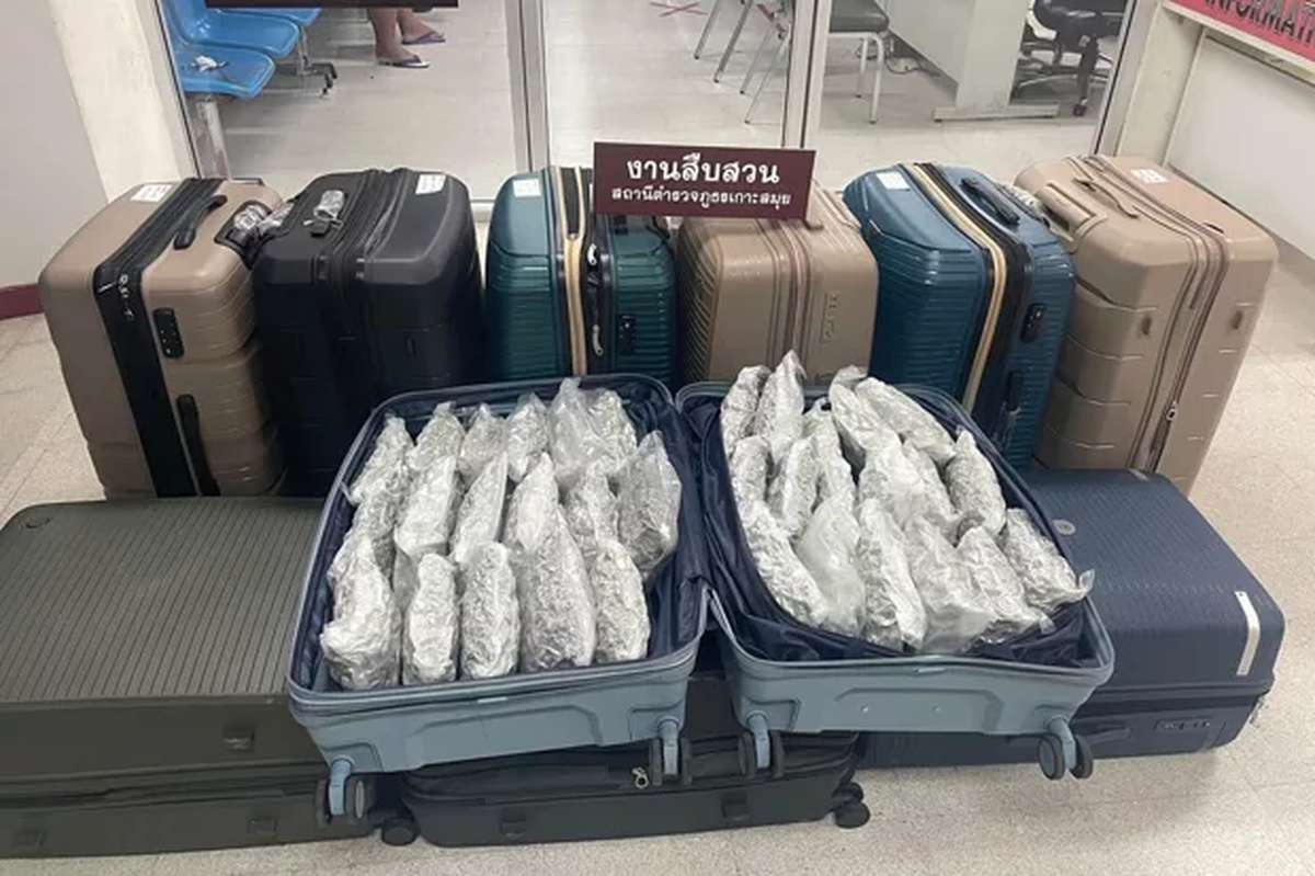 Britische Touristen: 406 Kilo Cannabis am Flughafen Samui