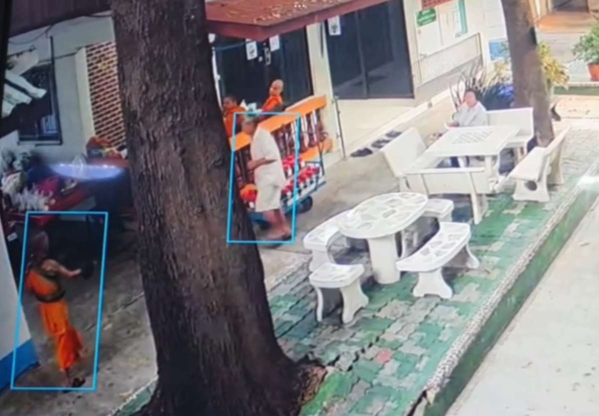 Python greift Mönch im Tempel an (Video)