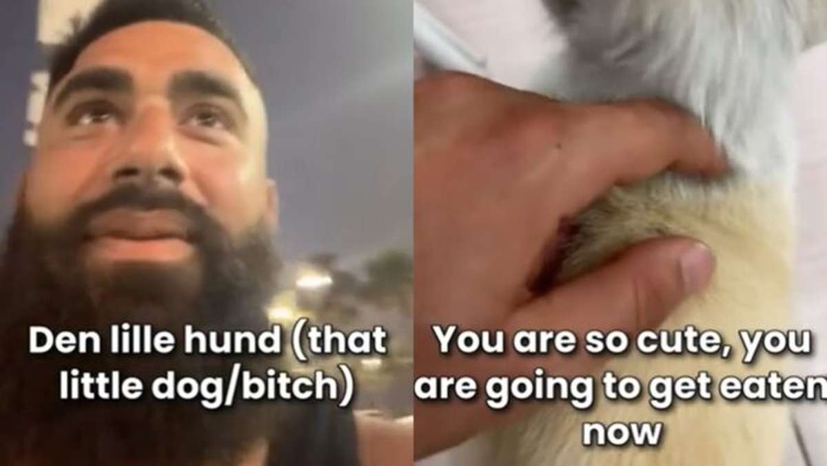Shitstorm gegen ausländischen Influencer