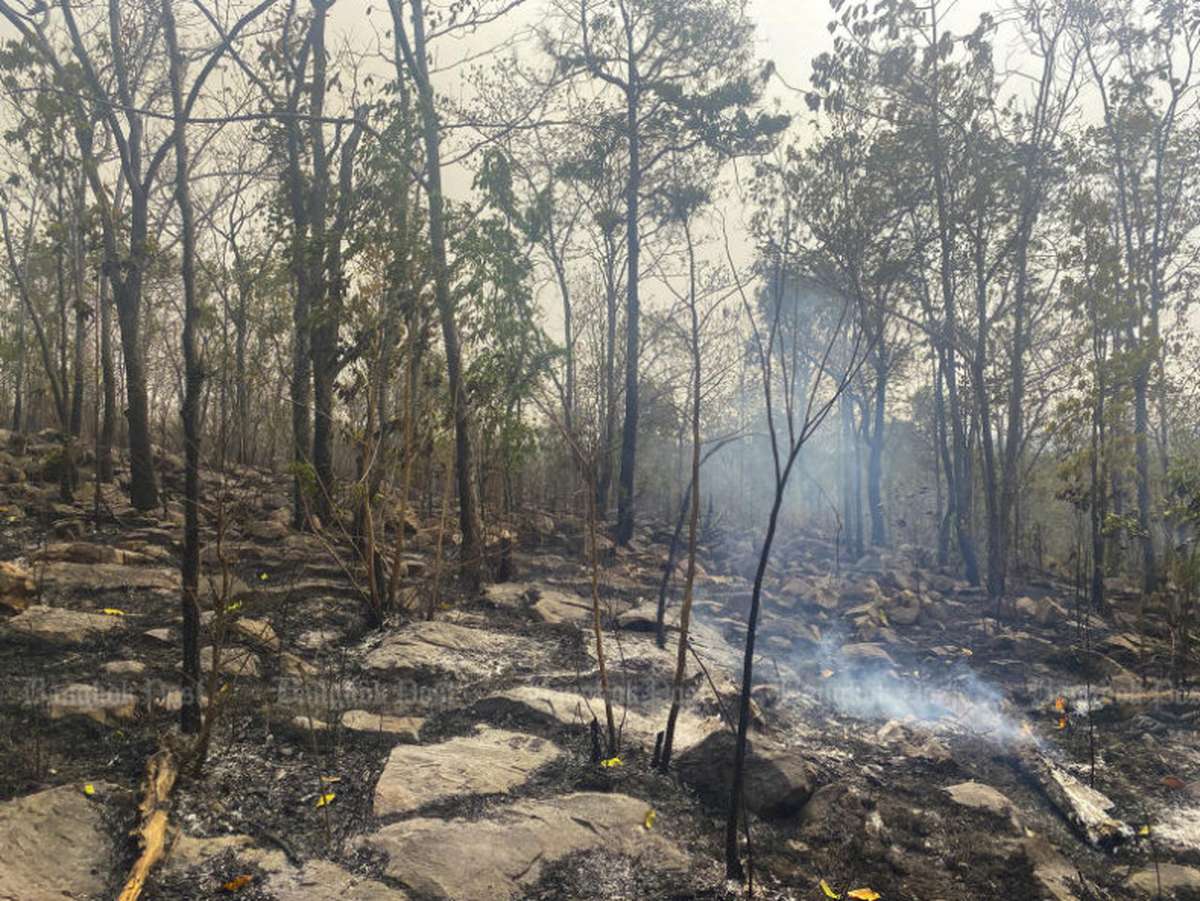 Smog: Thailand erklärt offenen Feuern den Kampf