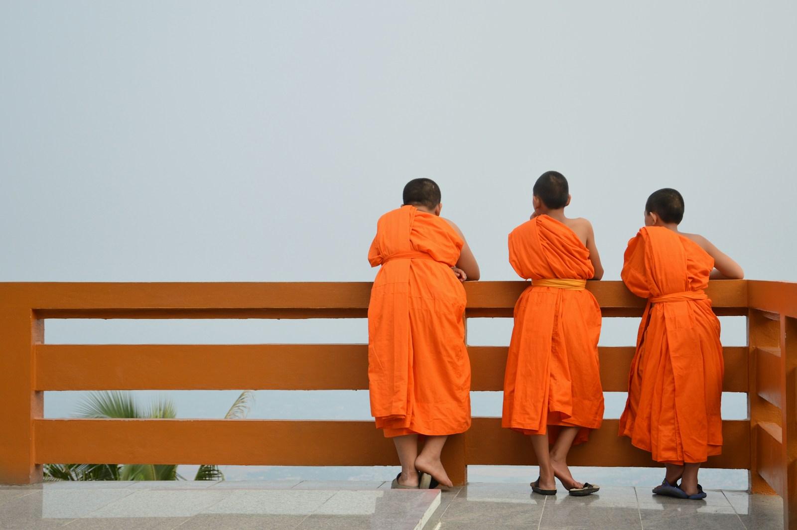 Thailands Buddhismus am Abgrund: Skandal, Macht, Geld