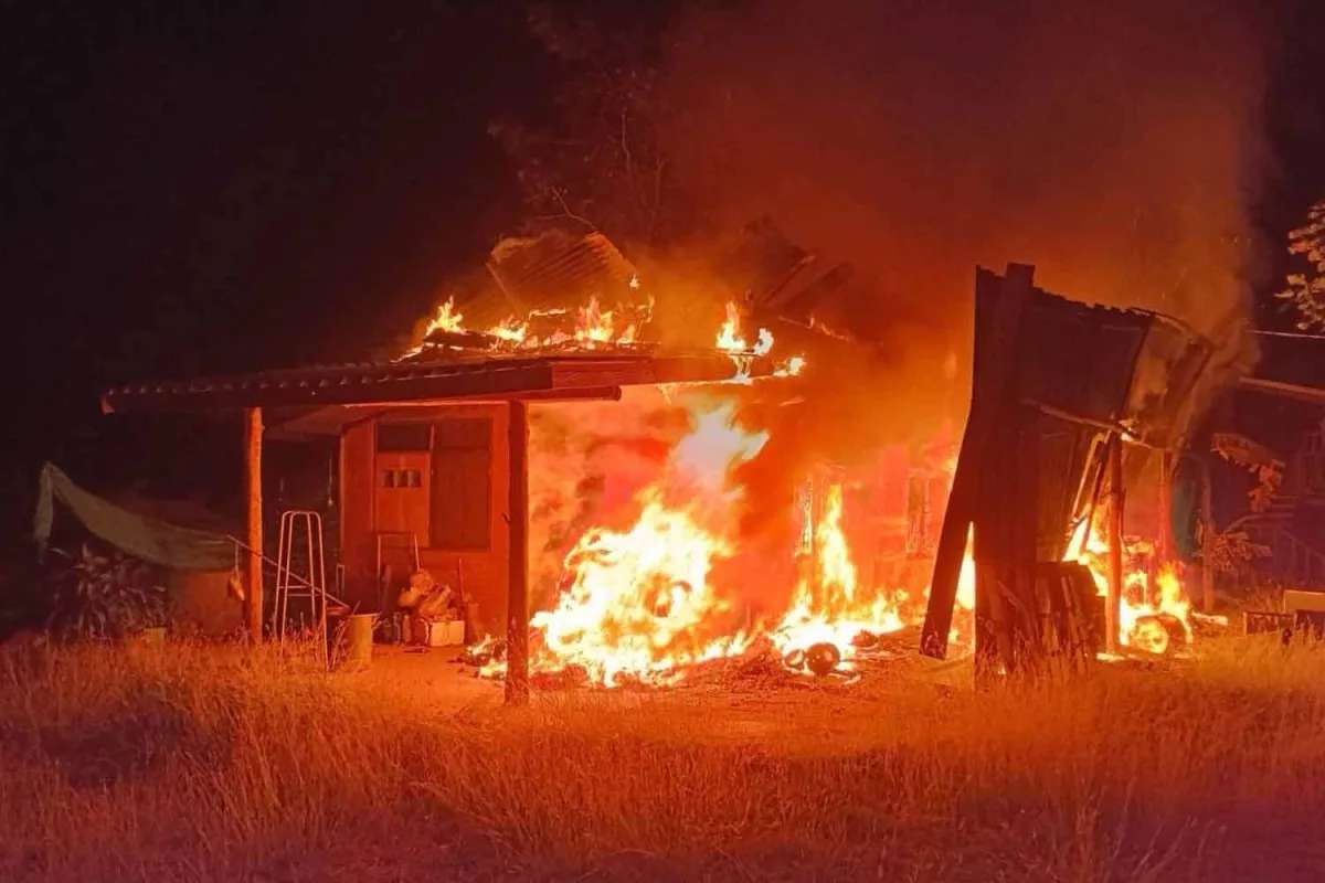 Ameisen als Brandstifter? Haus von Politiker zerstört