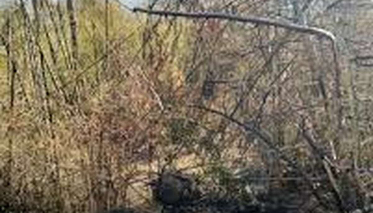 Grenz-Explosion verletzt Soldaten