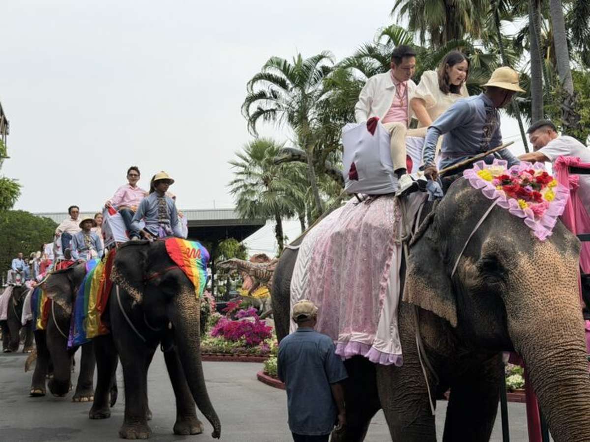 Hochzeit auf Elefantenrücken