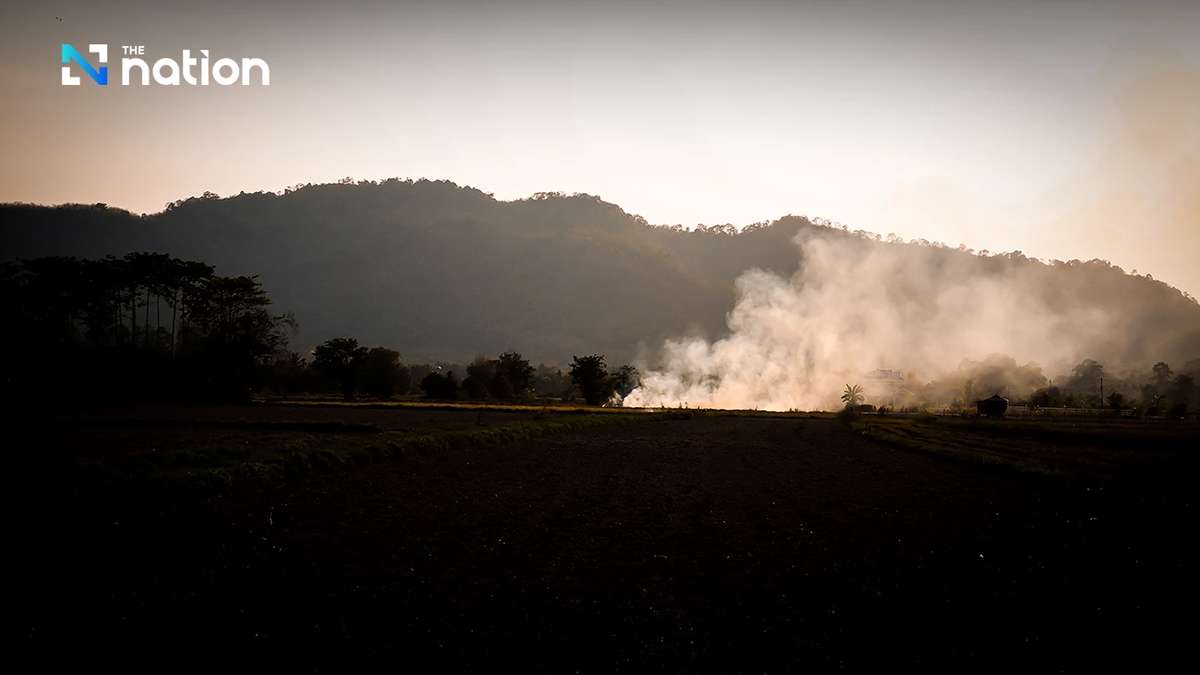 Landwirtschaft: Feuer verschärfen Smoglage
