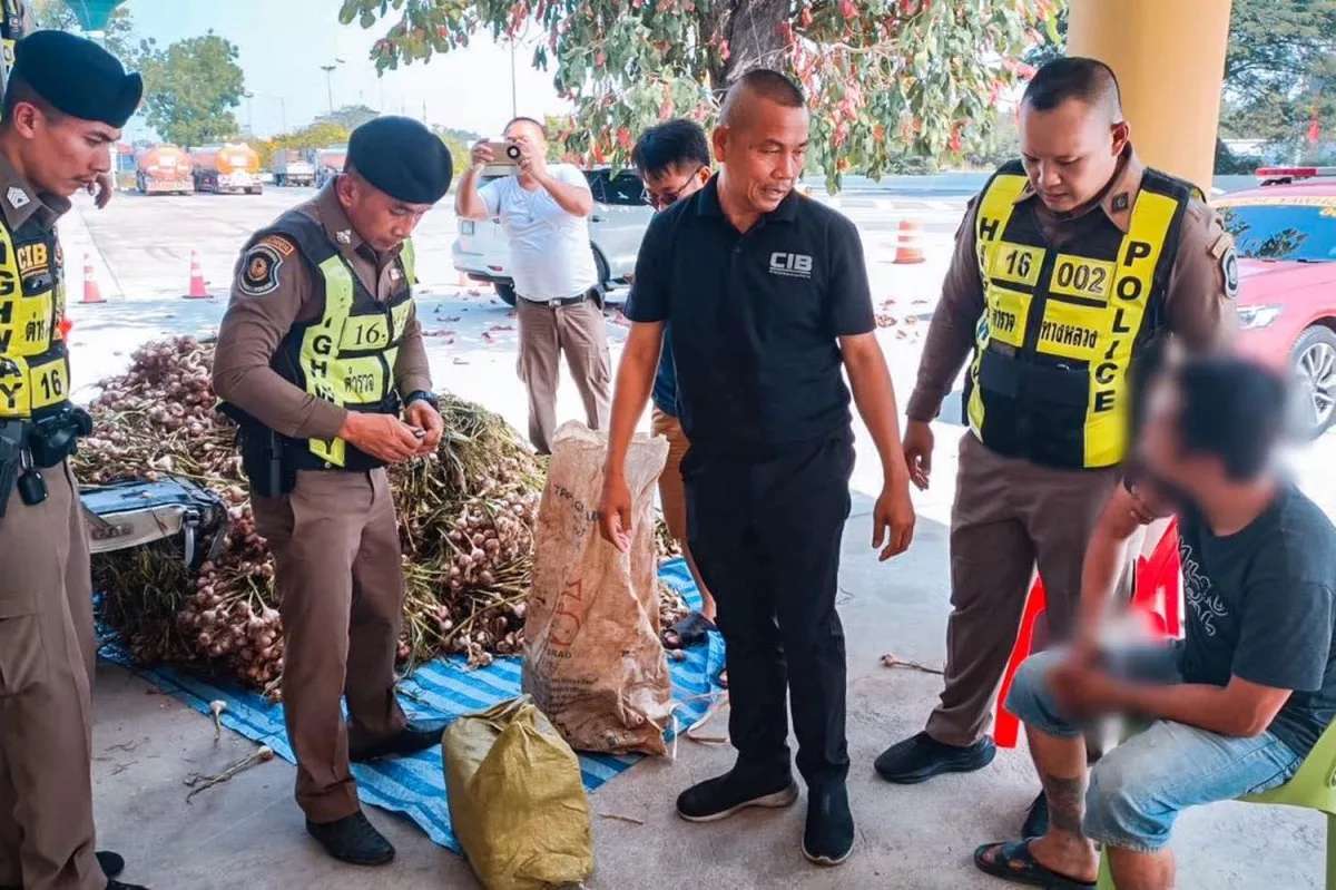 Polizei entdeckt Millionen-Drogenladung