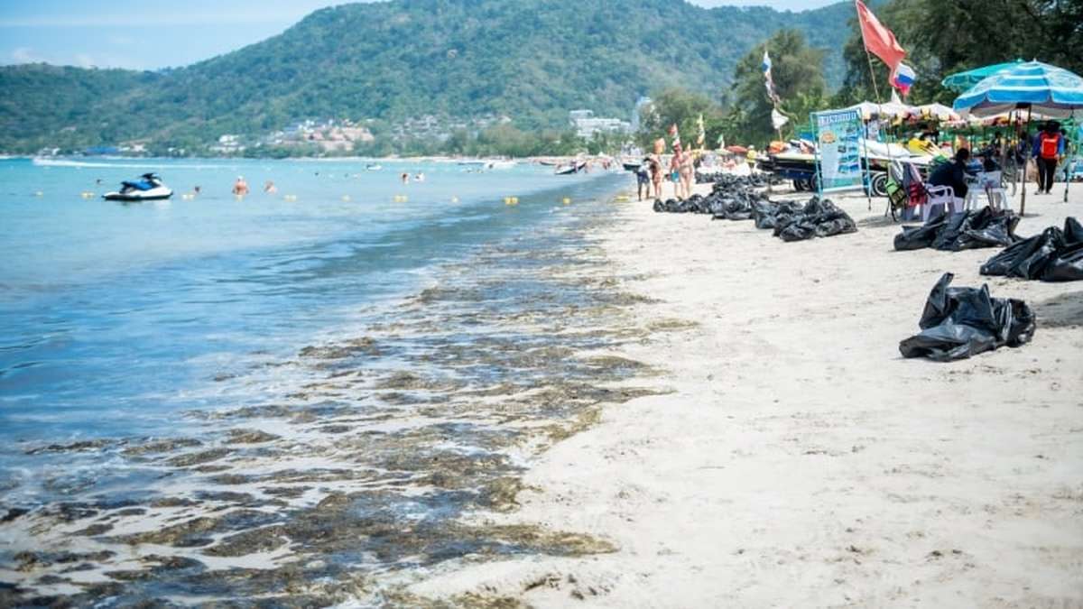 Schleim-Alarm am Partystrand: Was passiert in Patong?
