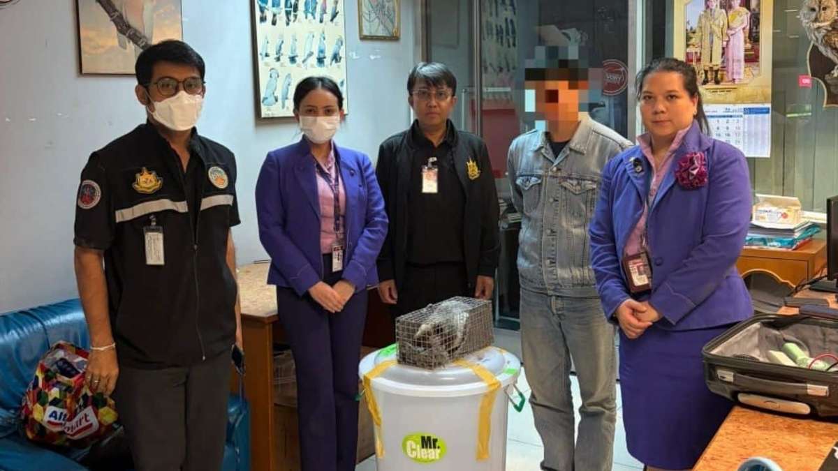 Schockfund im Koffer: Lebende Tiere nach Thailand geschmuggelt