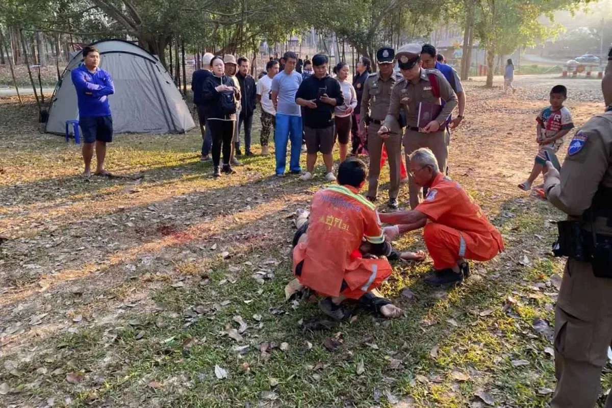 Tragödie im Park: Wilder Elefant tötet Touristen