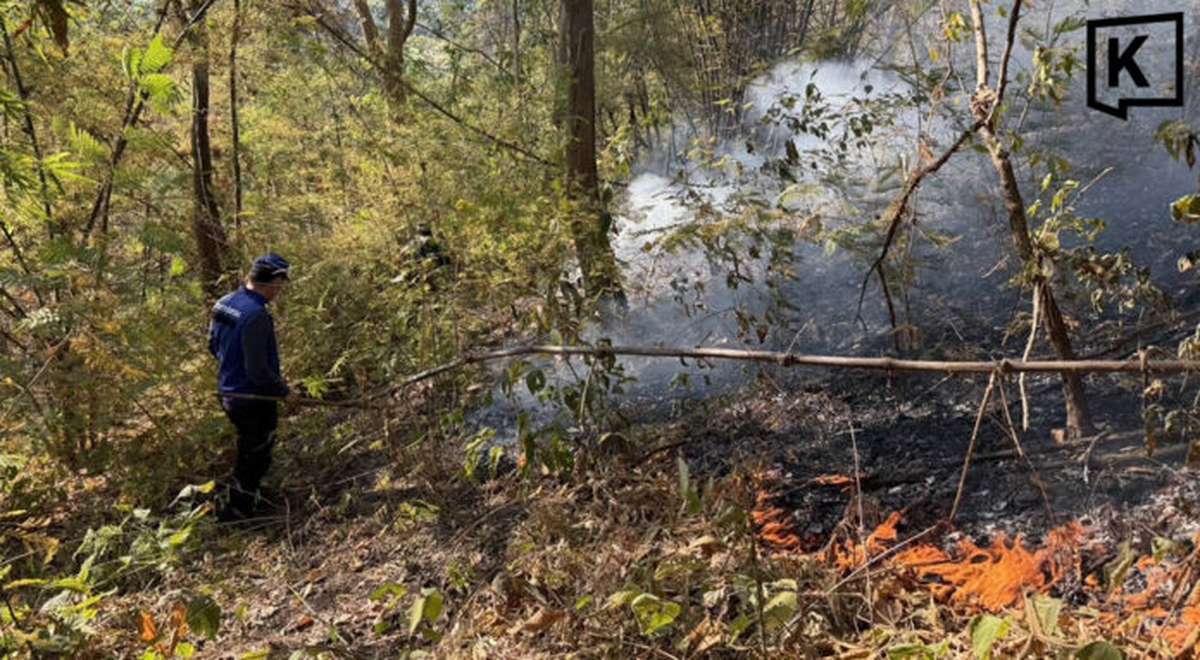 Trockenheit erhöht Risiko: Sorge vor neuer Brandwelle
